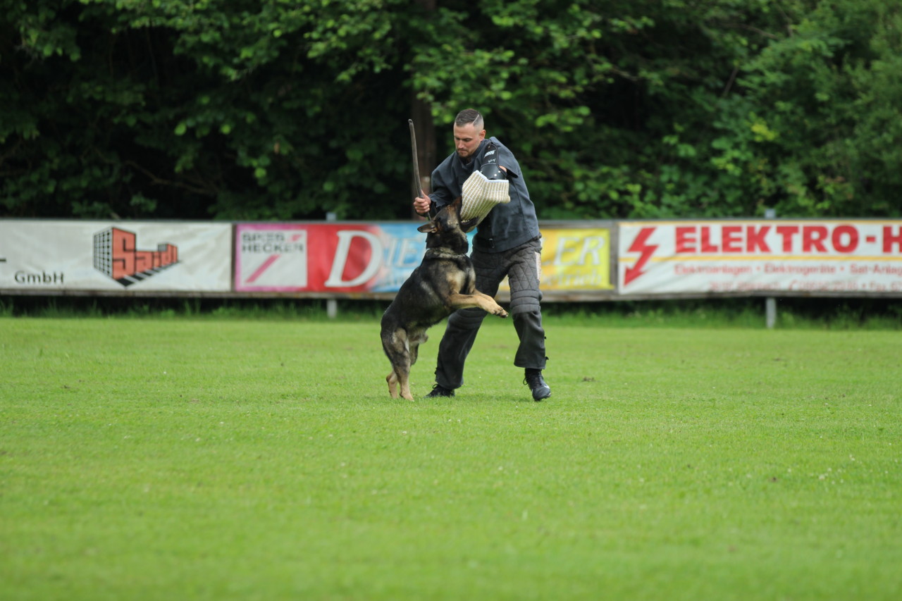 SV HS_17-07-21_30.JPG
